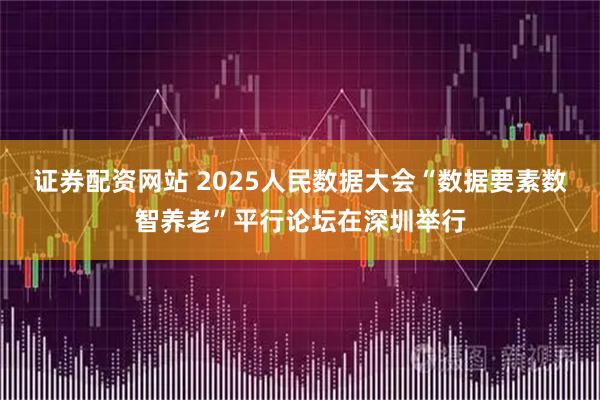 证券配资网站 2025人民数据大会“数据要素数智养老”平行论坛在深圳举行