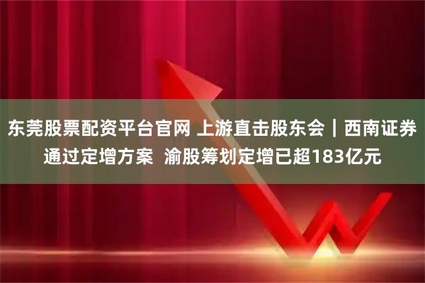 东莞股票配资平台官网 上游直击股东会｜西南证券通过定增方案  渝股筹划定增已超183亿元