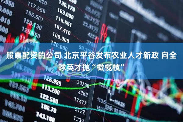 股票配资的公司 北京平谷发布农业人才新政 向全球英才抛“橄榄枝”